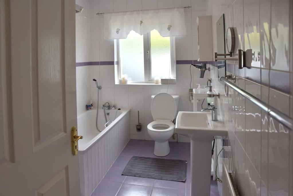 Mountain View Cottage Cloontyprughlish エクステリア 写真